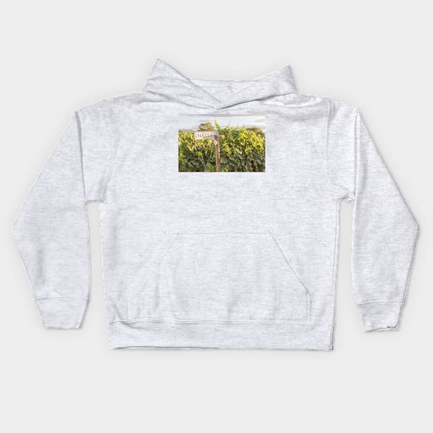 Chardonnay Signpost and Grapevines in Summer Kids Hoodie by Amy-K-Mitchell
